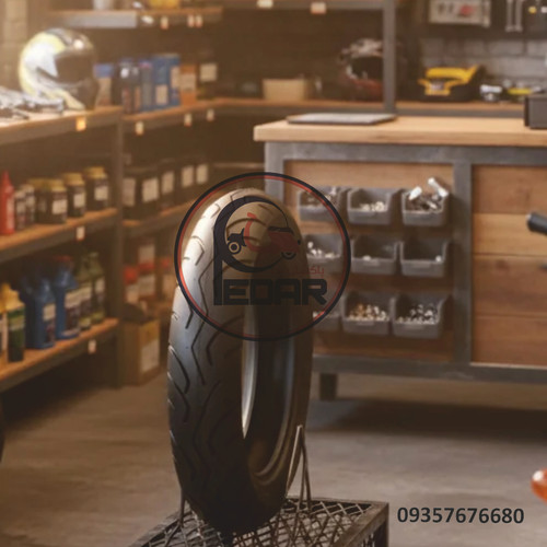 لاستیک پاکشتی پانتر (۳۰۰/۱۰)